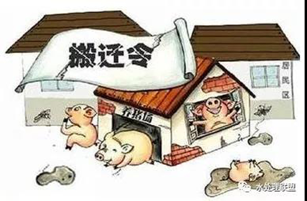 What should the farm do if it receives an environmental rectification notice? Environmental law on l